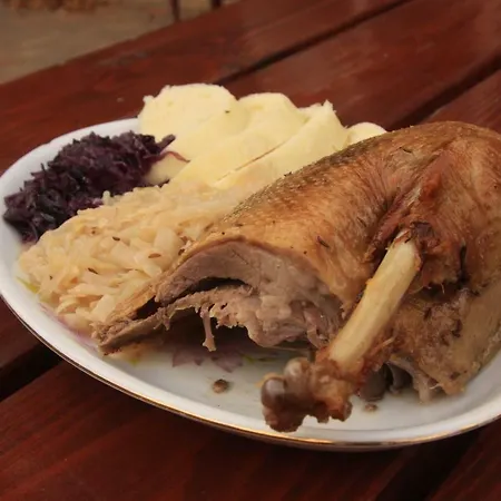 Chata U Vleku بيت ضيافة Telnice